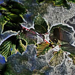 Compound Eye
