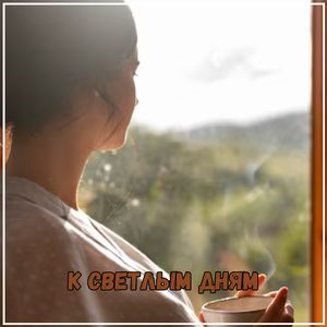 На крыльях мечты