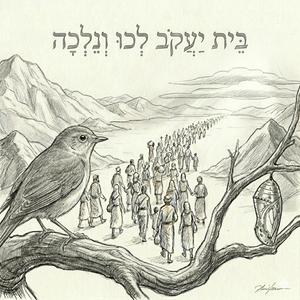בית יעקוב לכו ונלכה