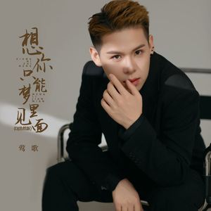 想你只能梦里见面 (DJ浩然版)