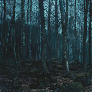 Melodías De Calma Para Recién Nacidos