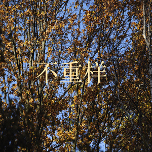 不重样