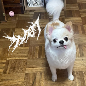 なつのおもいで