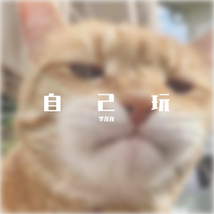 斑马斑马