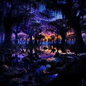Beaver Tails Slapping in Louisiana Bayou