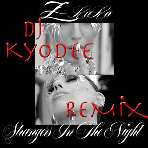 Strangers in the Night (DJ Kyodee Remix)