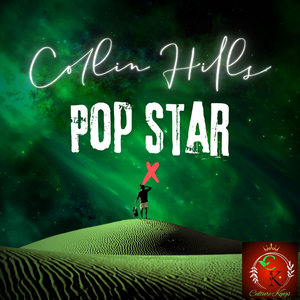 POP STAR