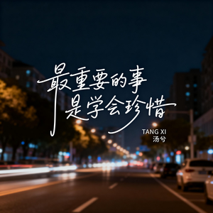 最重要的事是学会珍惜（伤感版）