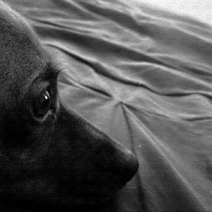 Silent