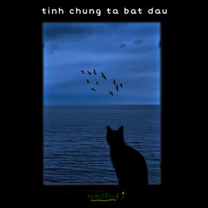 tình chúng ta bắt đầu