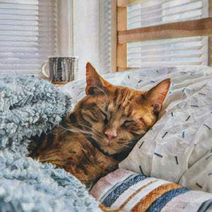 I Know She's A Gold Digger