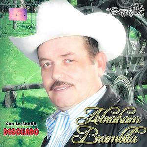 Gavilán Gavilancillo
