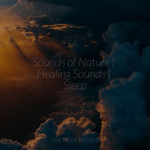 Echoes of the Infinite Trail