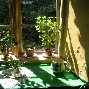 Windowsill