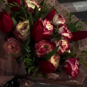 你可以故地重游 不可以回到过去