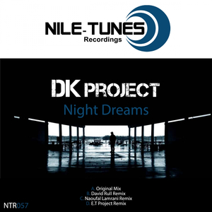 Night Dreams (David Rull Remix)