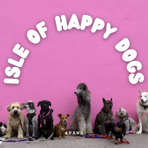 Binaural Forks for Dog Sleep