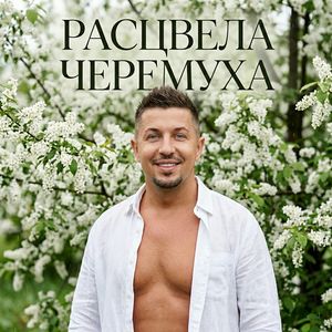 Расцвела черемуха