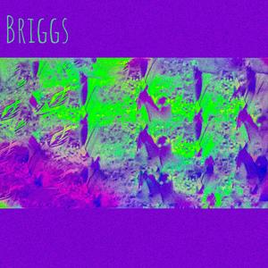Briggs