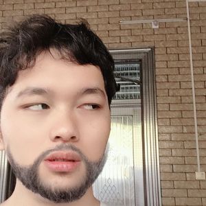 自由也许真的自由