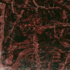 Silogismos de Amargura (feat. Hollow Humanity)