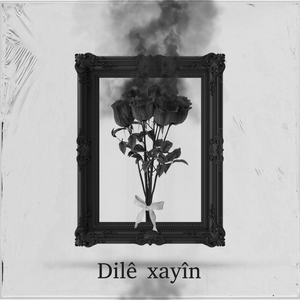 Dilê xayîn
