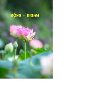 MONG (DREAM)