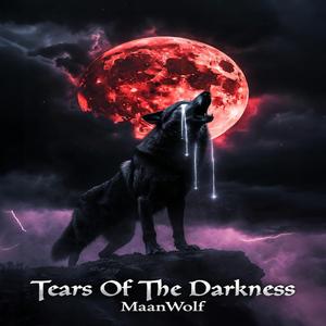 Tears Of The Darkness
