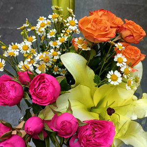 让好梦洗去你一天的疲惫