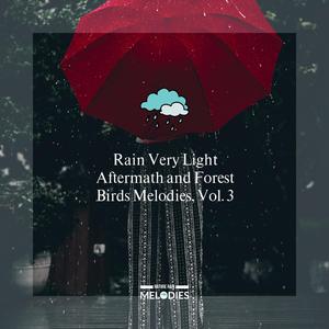 Unpretentious Forest