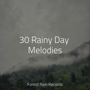 Rain, Vegetation, Wood, Heavy Wind