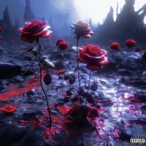 你们的歌太瓜喽