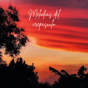 Sonidos para la Mente Despierta