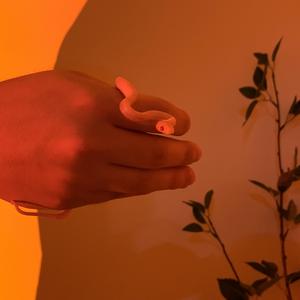 Go Strawberry Snake！