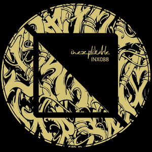 The Wildering (Original Mix)