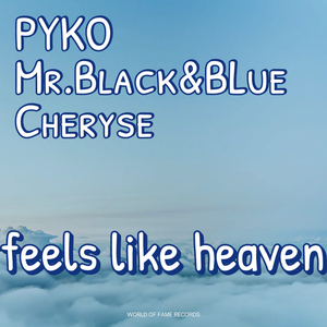 Feels Like Heaven (Radio edit)