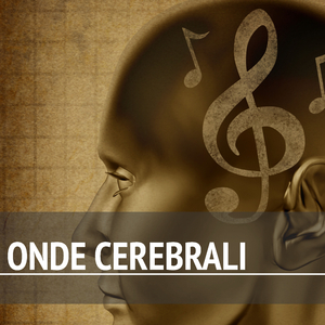 Studi Universitari (Fiume che Scorre - Corso d'Acqua)