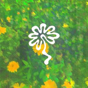 photosynthesis