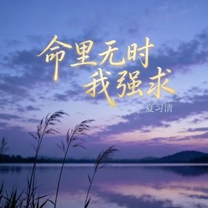 命里无时我强求