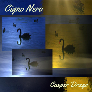 Cigno Nero