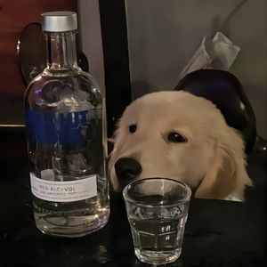 幸福要像暴雨一样浸湿我的衣襟