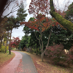 君ならできるさ