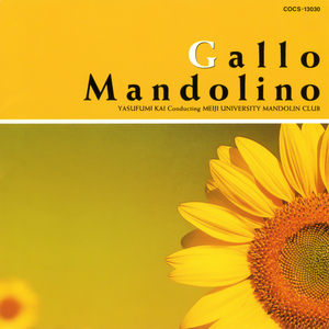 チキ・チキ・バン・バン