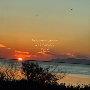 Ne İçindeyim Zamanın