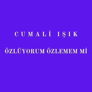 Özlüyorum Özlemem Mi