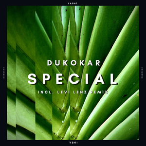 Special (Levi Lenz Remix)