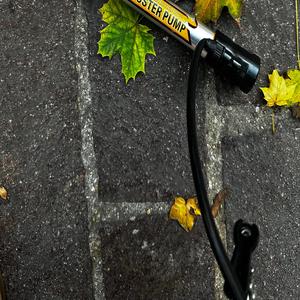 Motribe (feat. GRAFEZZY1)