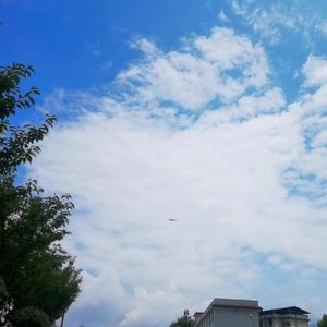 孤独（Lonely）