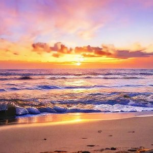 晚风将我们的爱吹散