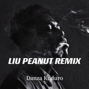 Danza Kuduro（Radio Edit）